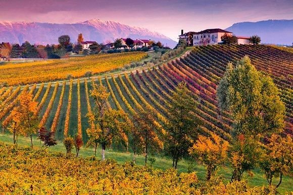 Winnita Italia: il casinò online con app e codici promo esclusivi